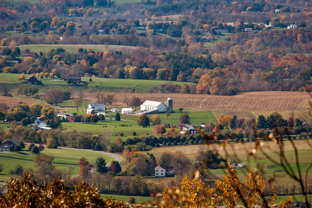 aerial view of farm